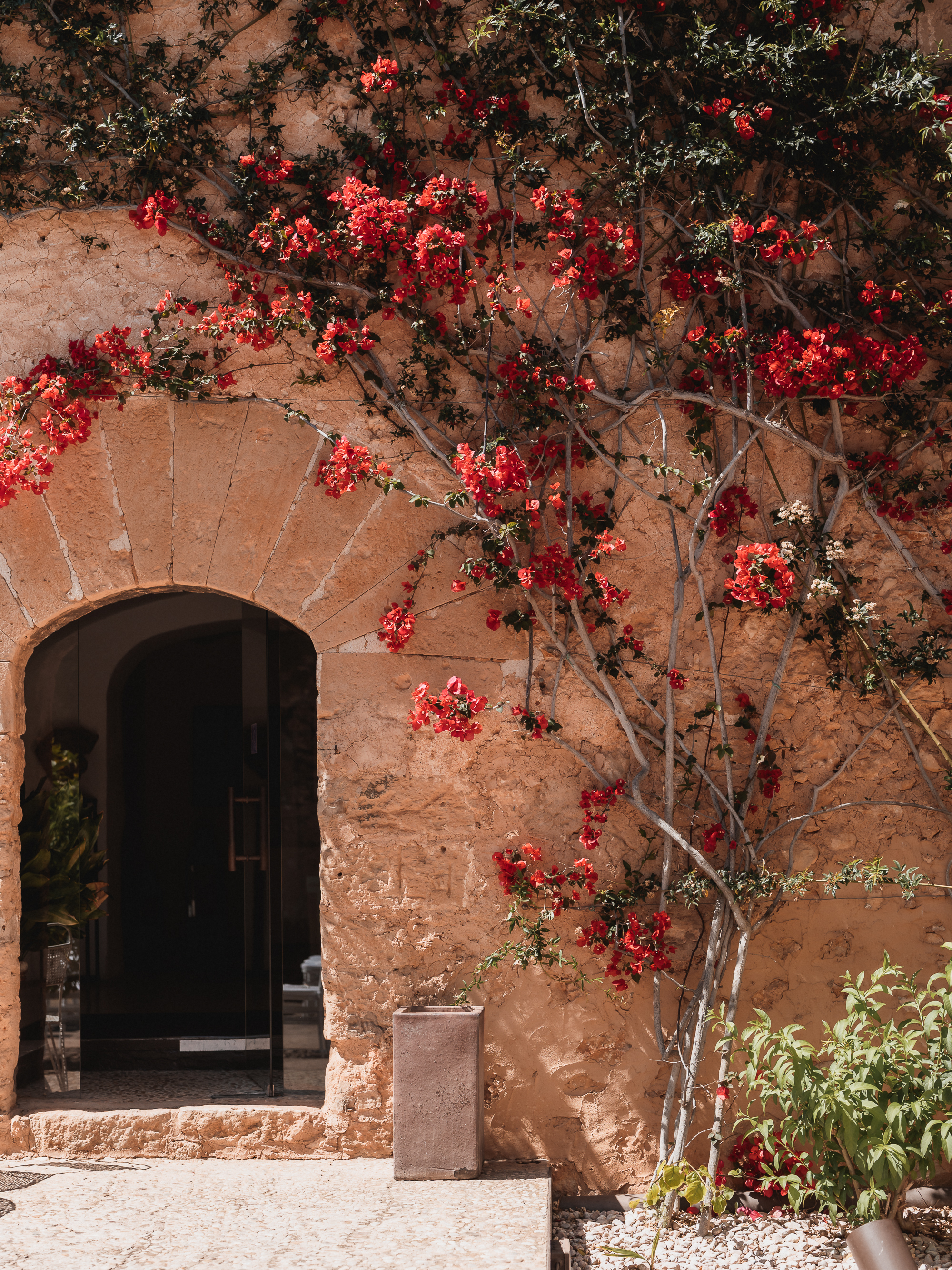 Entrance of Finca Son Mir decorated with red flowers in Mallorca