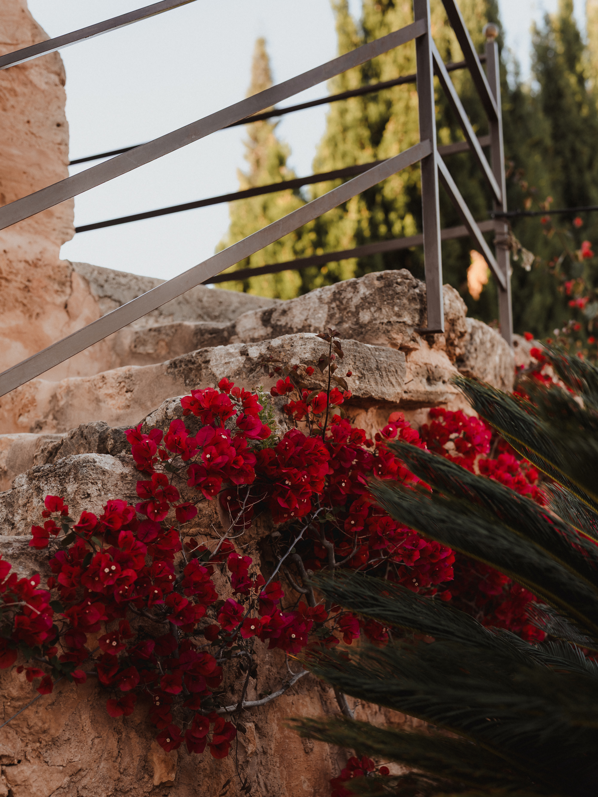 Red flowers decorating Finca Son Mir wedding venue in Mallorca