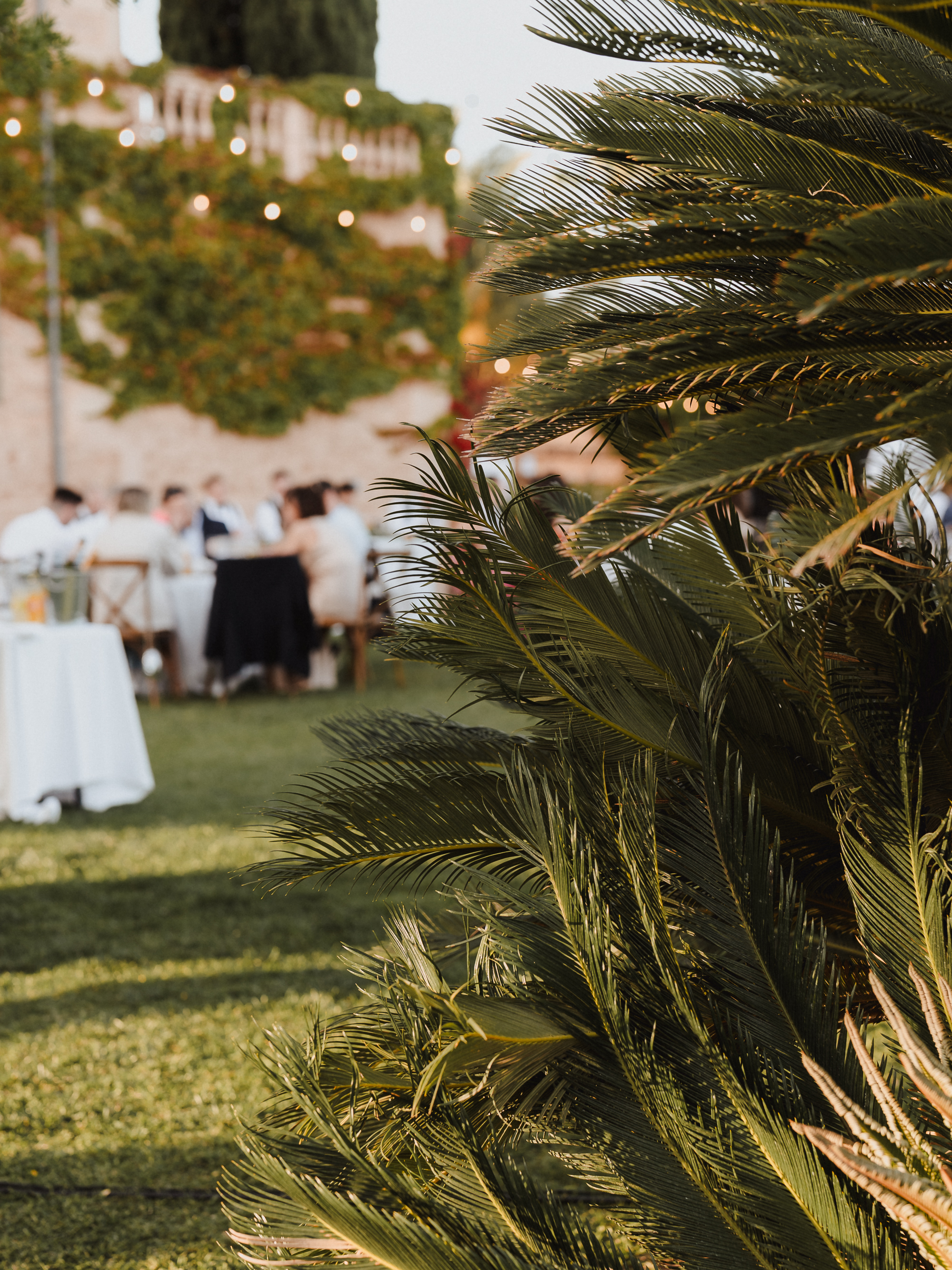 Garden plants with wedding dining table in the background at Finca Son Mir Mallorca